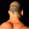 valetudo8080